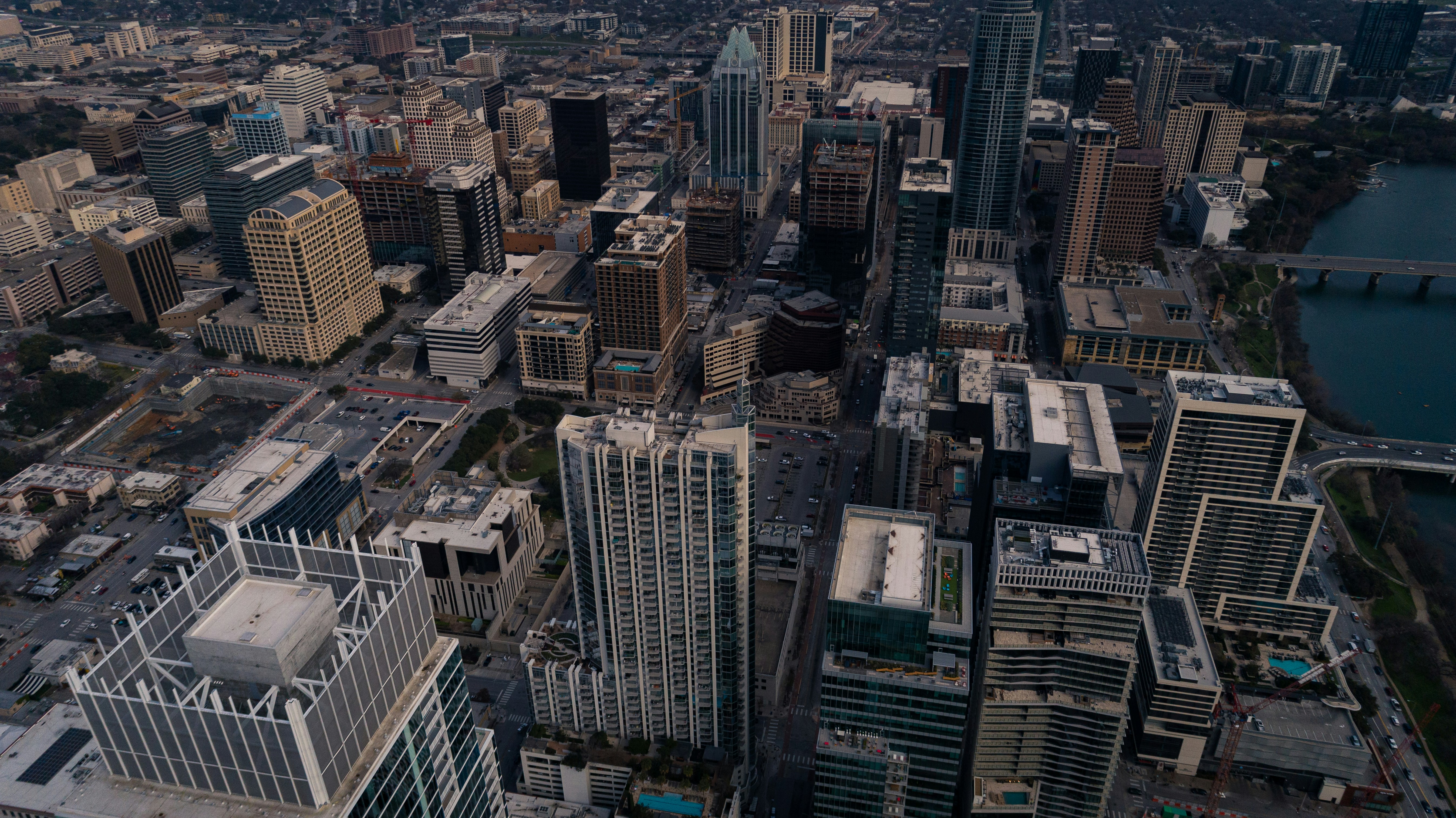 desert with dried out trees