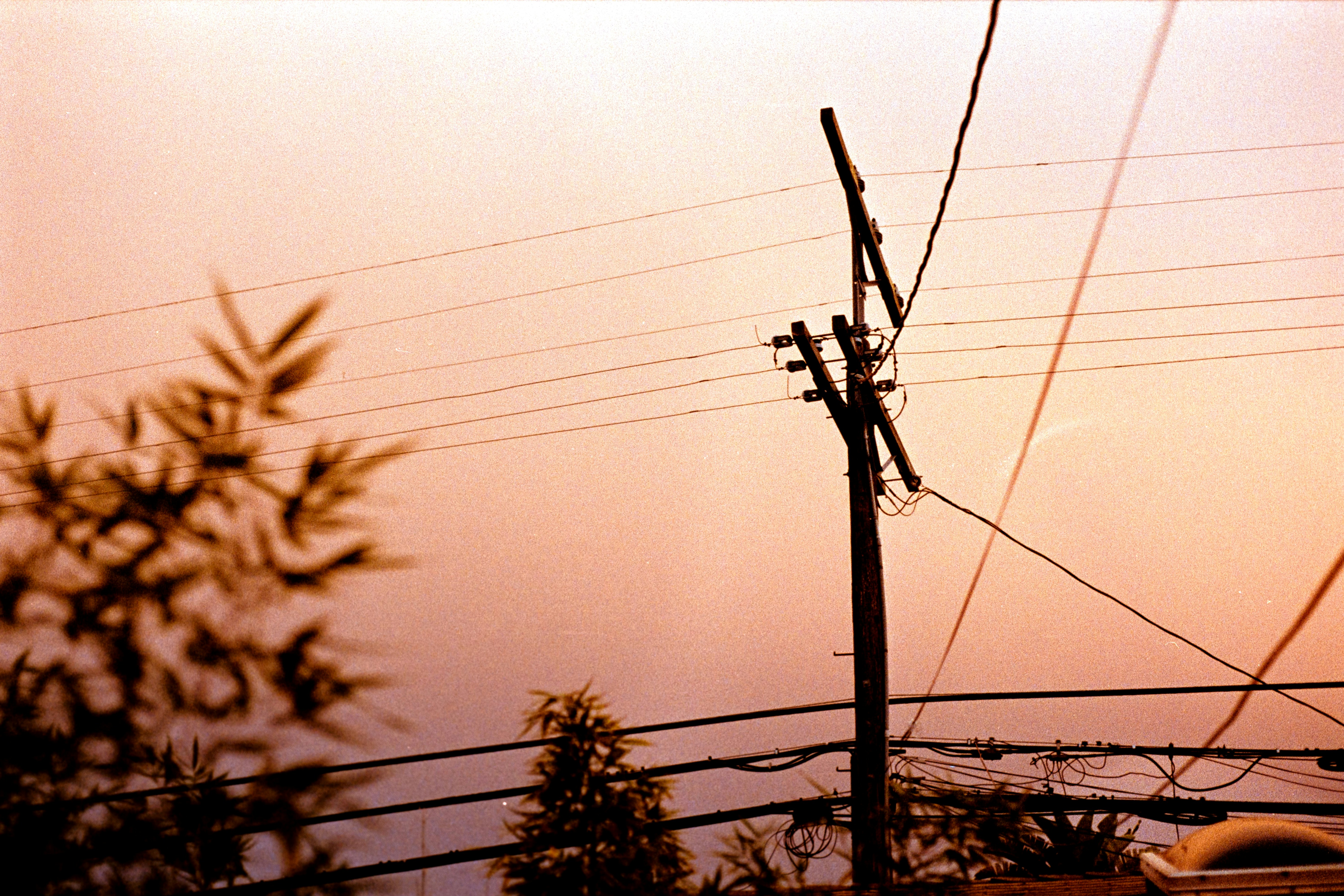 Evening Sky with powerlines 