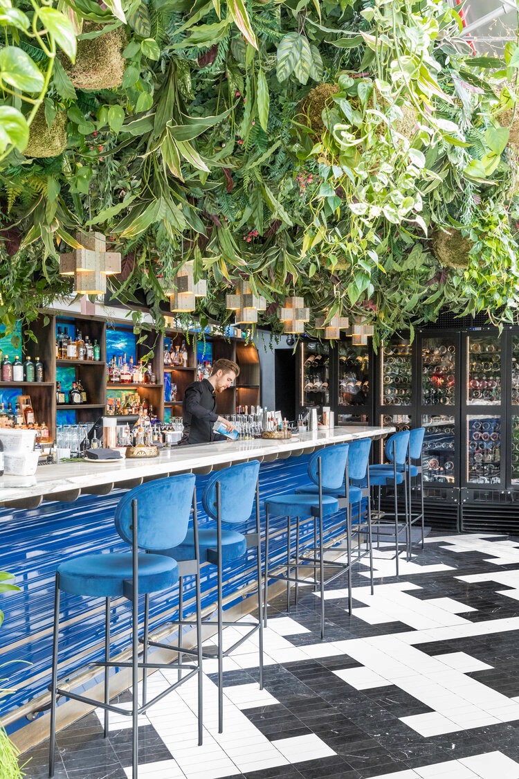 An outdoor bar with blue barstools, overhead greenery, and a checkered tile floor.