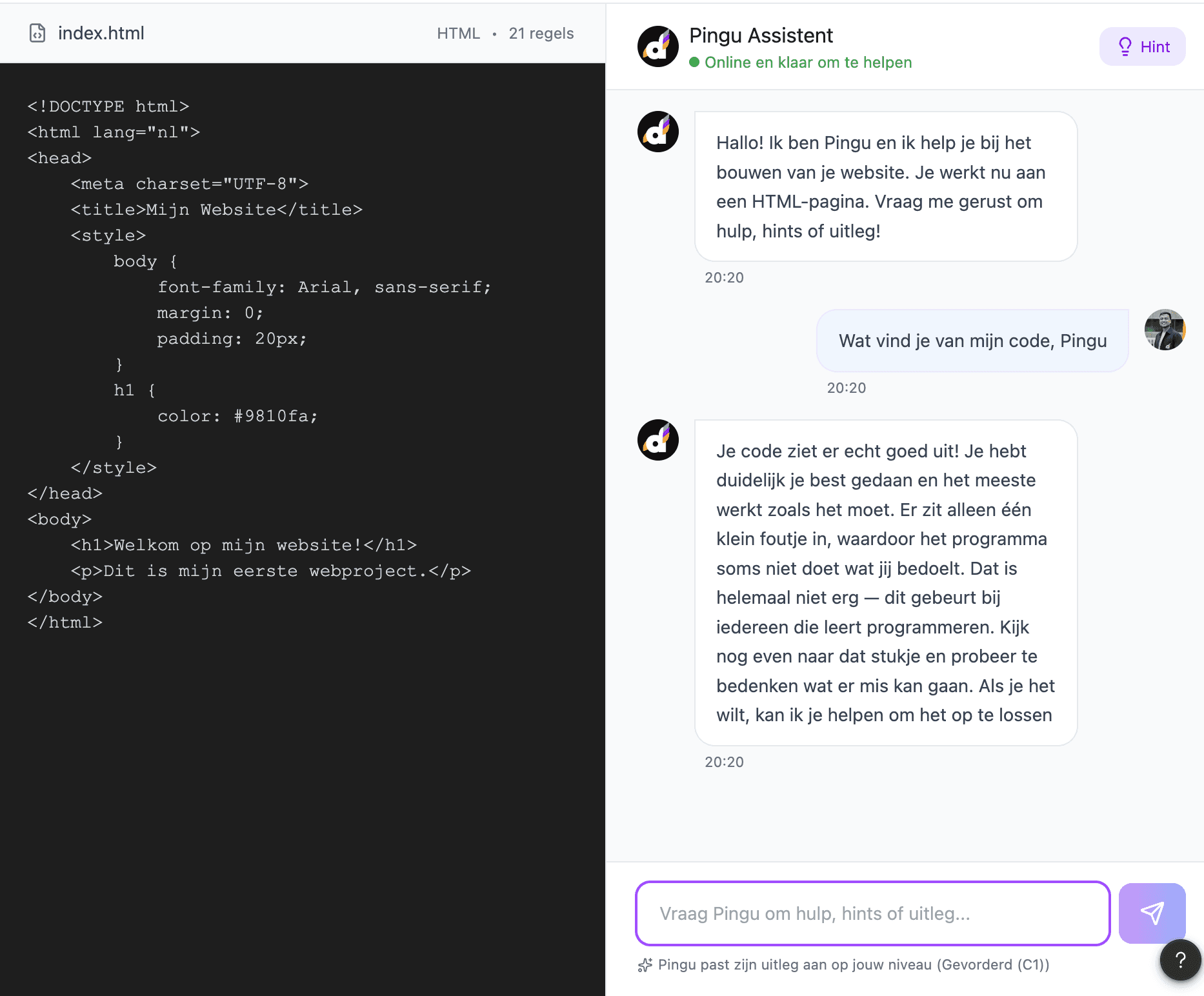 Software user interface