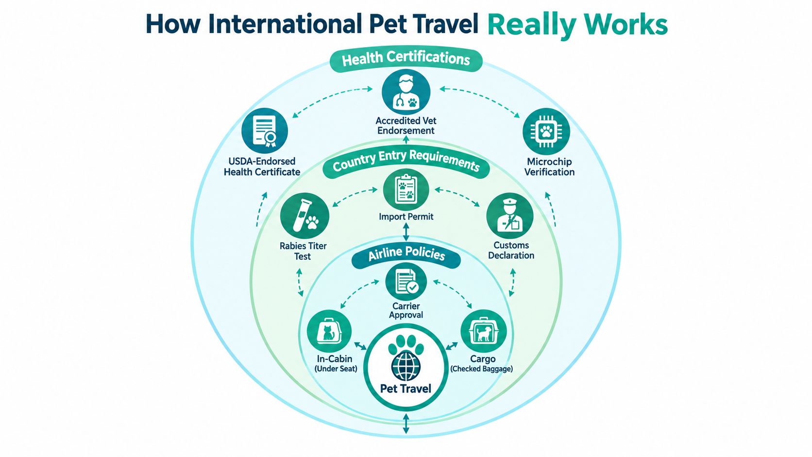A diagram illustrating the complex requirements and steps involved in planning international pet travel successfully.
