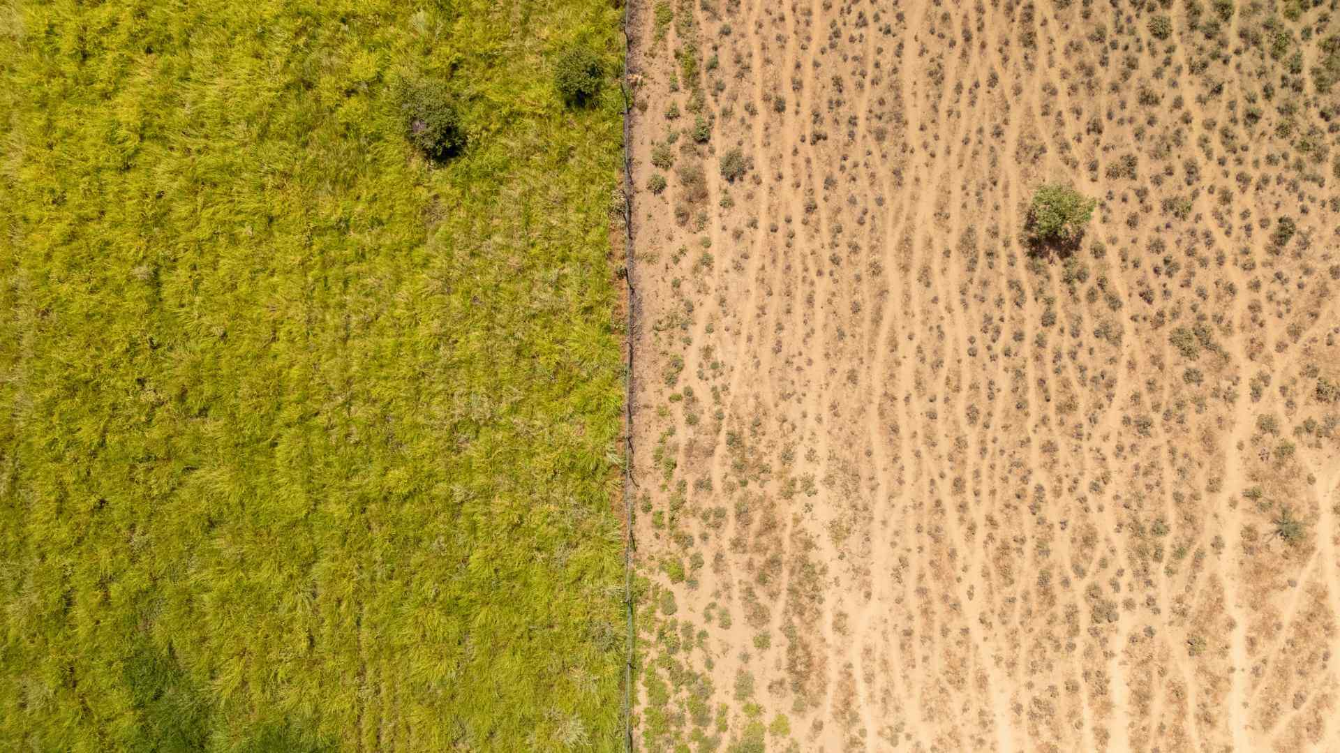 Aerial photo of restored green land next to dry ground in Shompole, Kenya