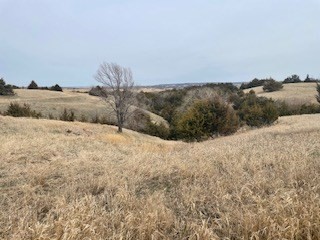 Springfield Community Center - Main