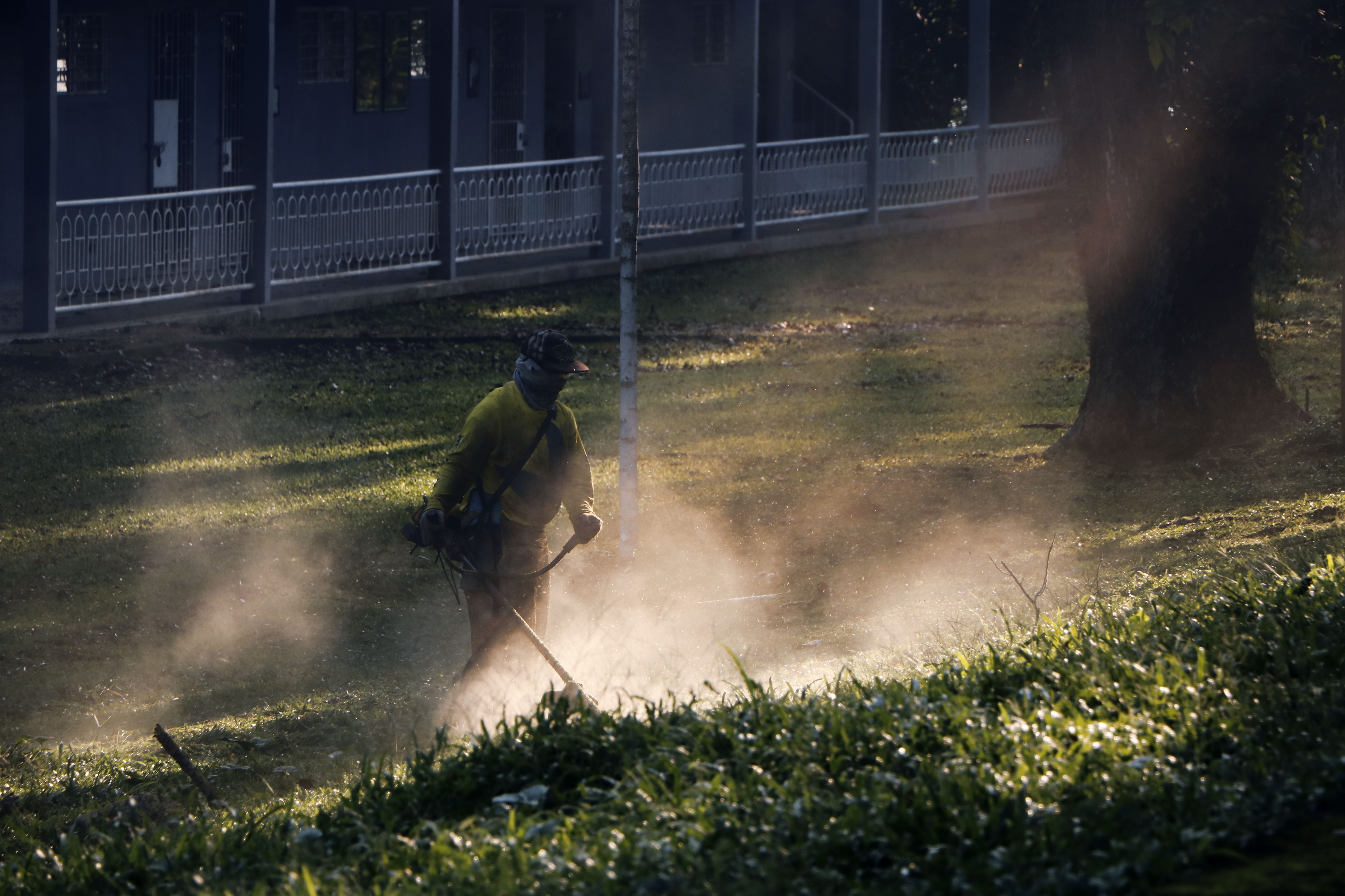 A garden in Melbourne's eastern suburbs kept on a regular care round by BCW