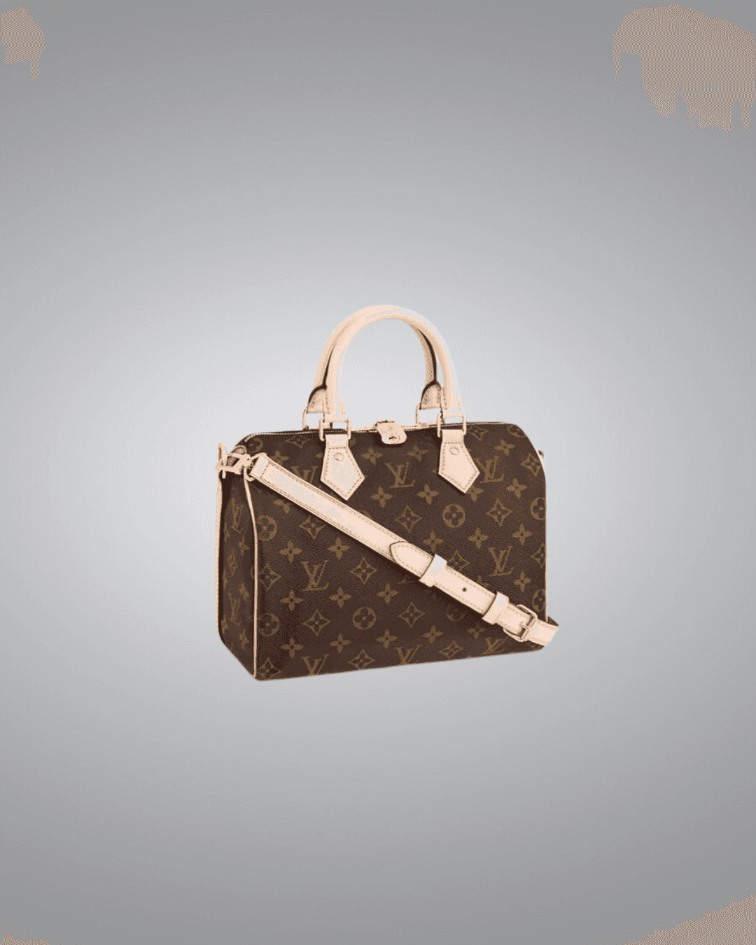 LV Speedy Bandouliere Handbag