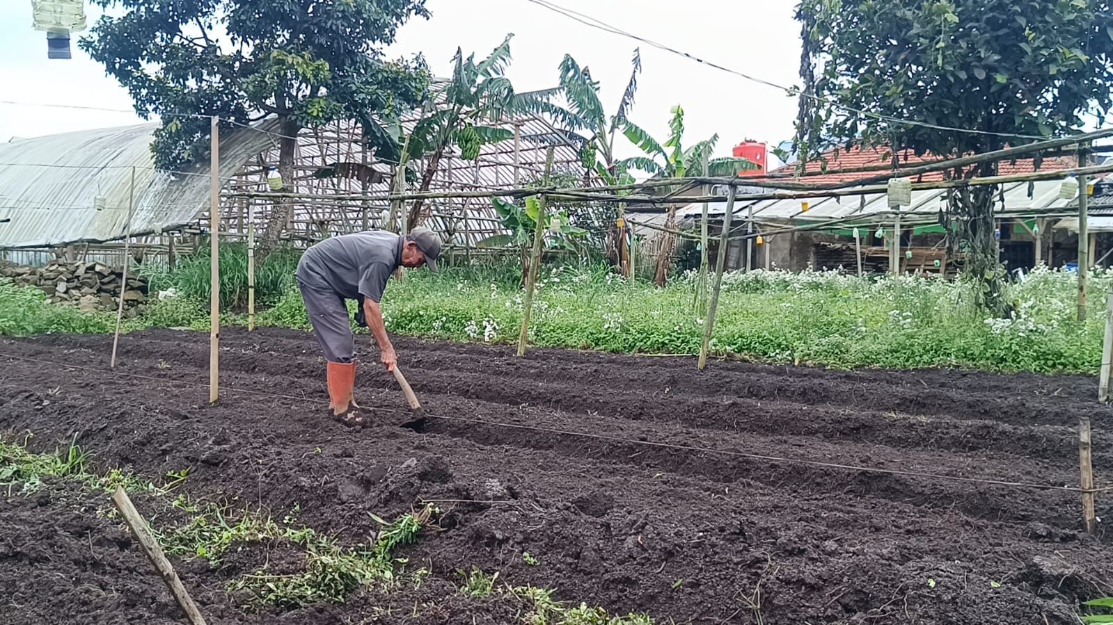 Seorang petani di Bandung, Jawa Barat mengolah tanah untuk penanaman bibit bunga