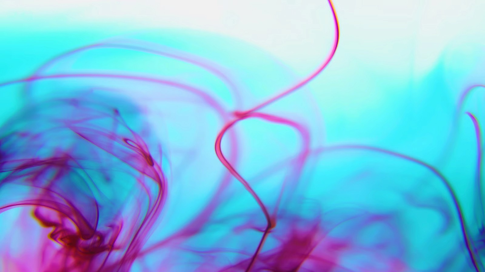 Underwater discovery image