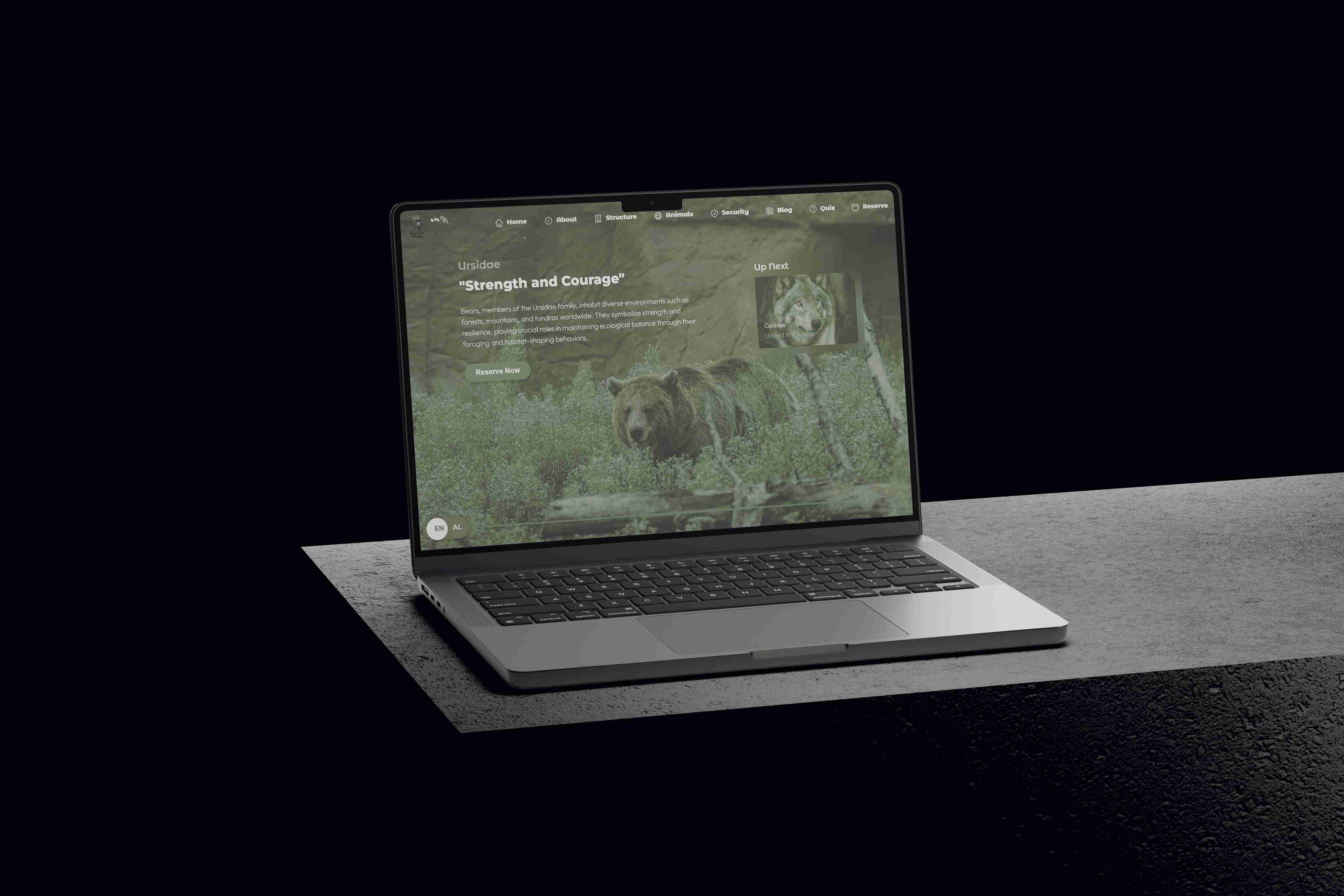 Tirana Zoo Park - Website Preview