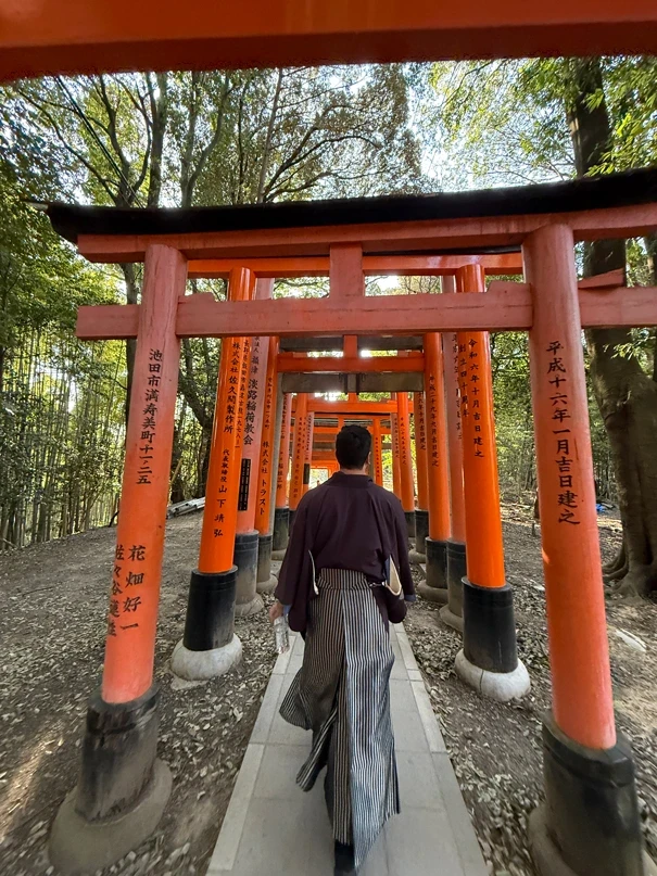 Torii Gates