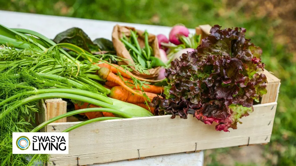 Advantages of Organic Farming