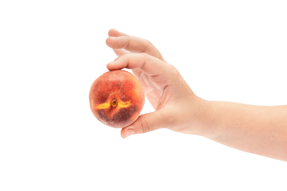 Mão segurando pêssego fresco com fundo transparente – imagem PNG sem fundo