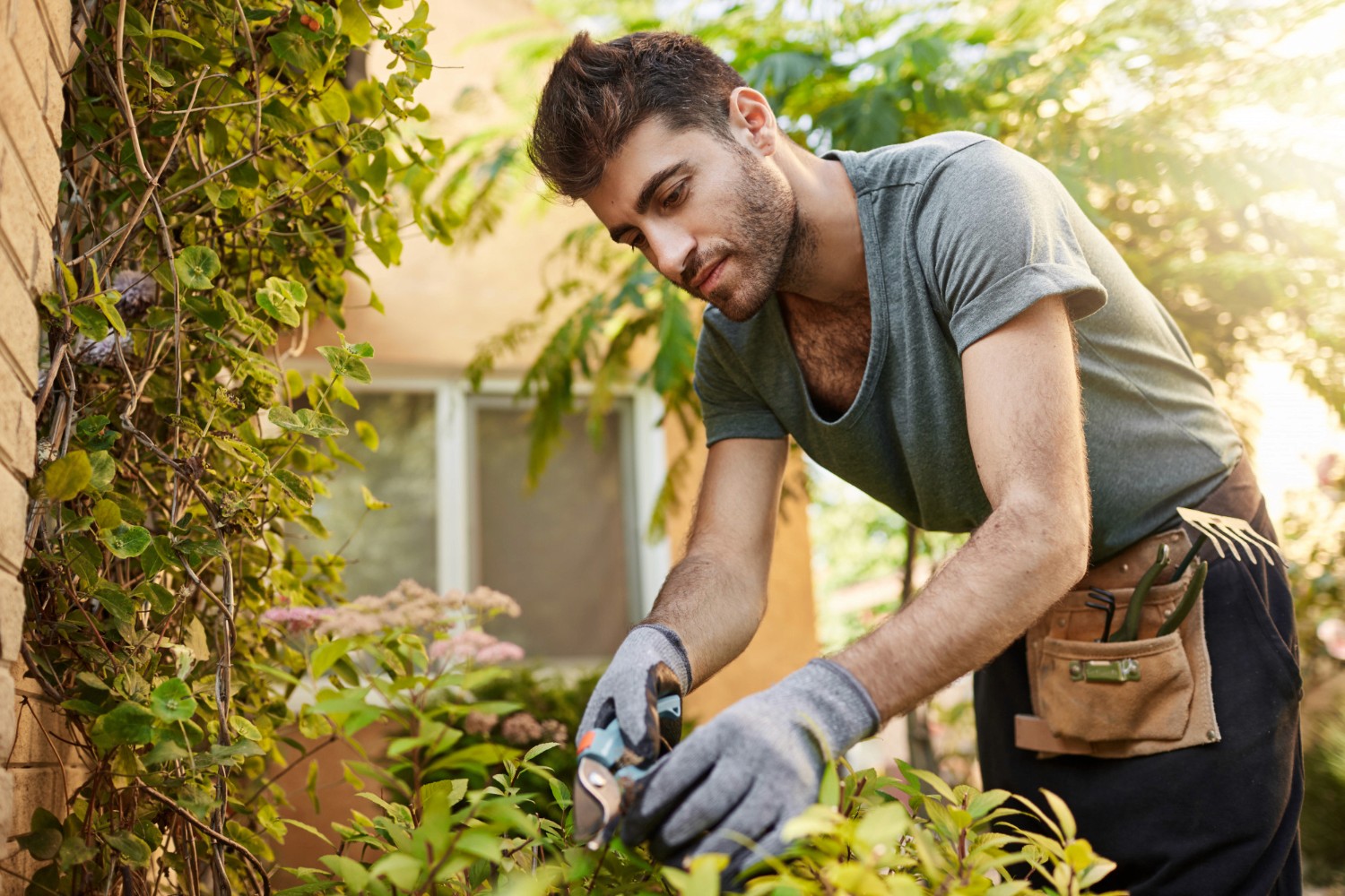Outdoors portrait of young attractive bearded hispanic man in blue t-shirt and gloves working in garden with tools, cutting leaves, watering plants. countryside life