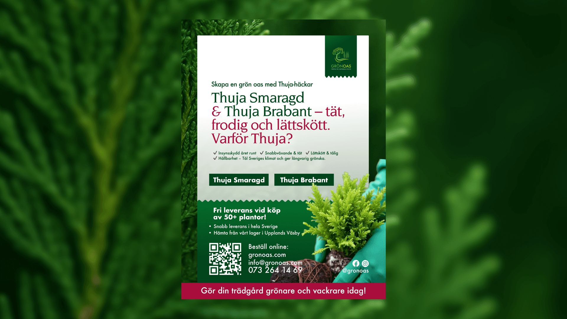 Project Gallery Image for 50% width of the screen #1