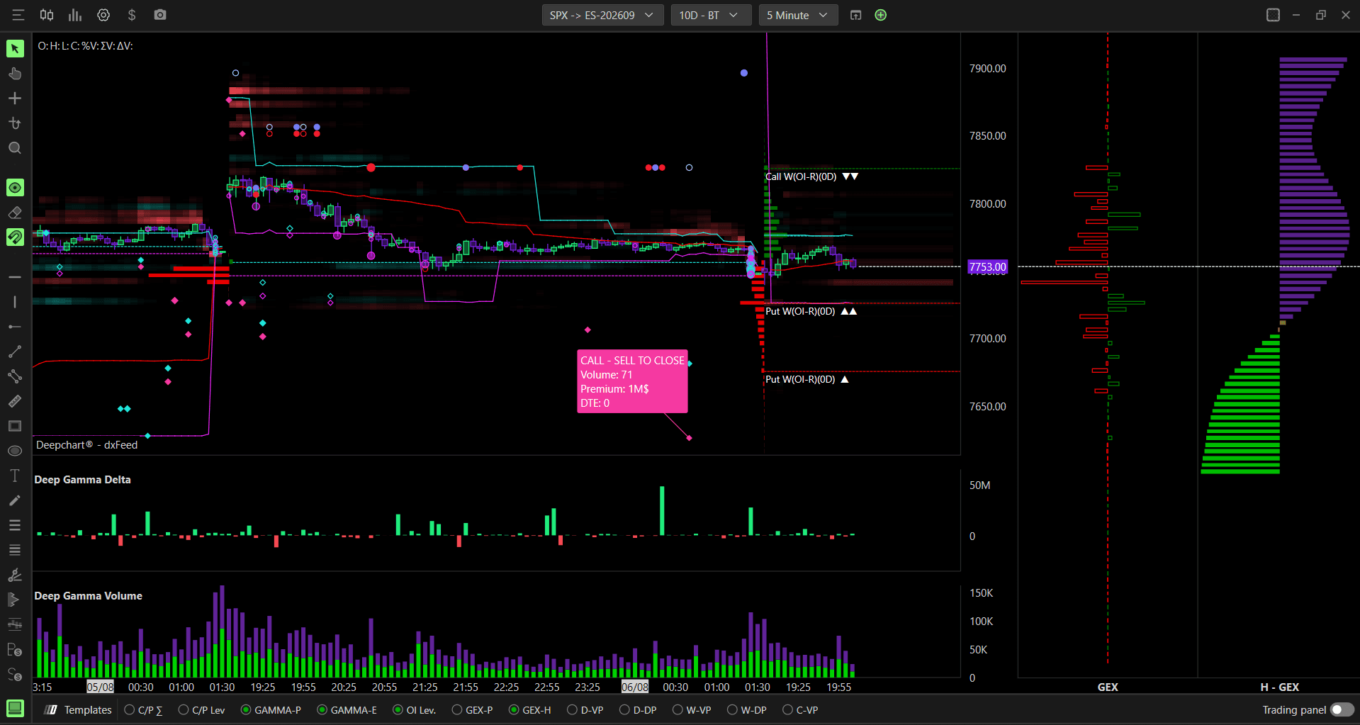 DeepGamma Suite option chart with gamma profiles and options flow