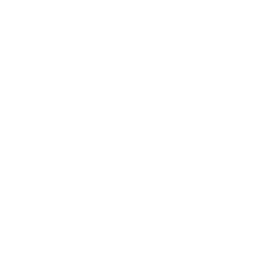 100Plus White Logo