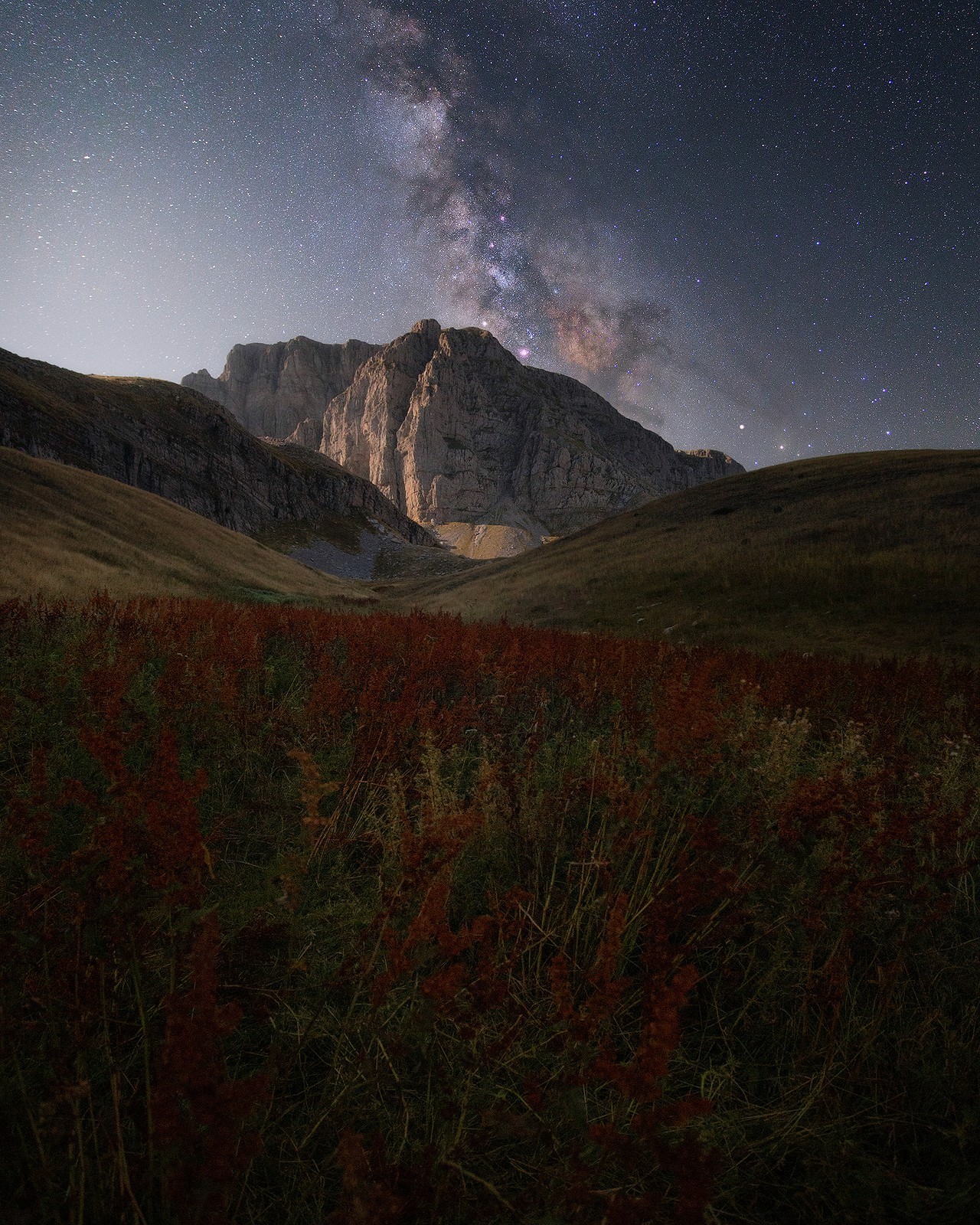 The Milky Way over a mountain ridge above a field of red wildflowers