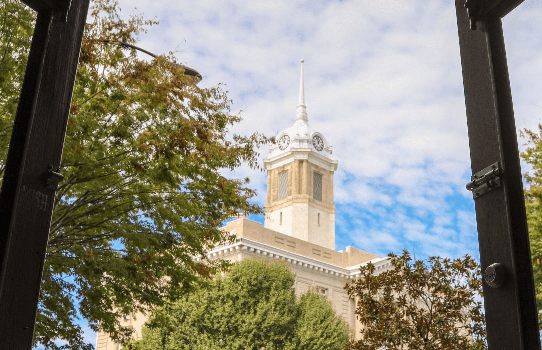 Four pieces of fried chicken or battered fish on a bed of salad greens, being heavily topped with shredded white cheese that is raining down onto the dish, set against a dark, rustic background of wood and pine cones.