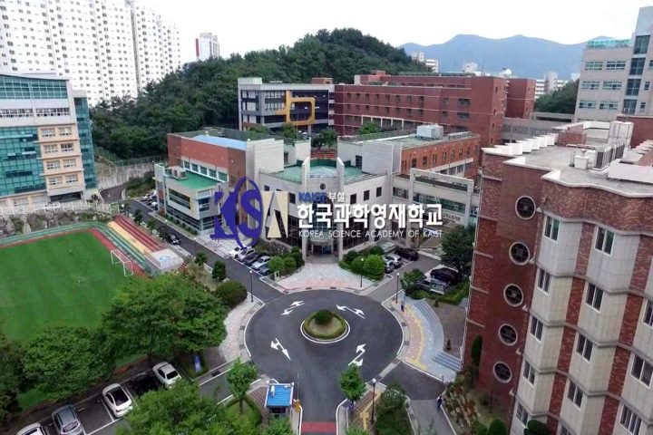 영재고 과학고 차이, 영재고 현실, 과학고 의대, 영재고 의대, 고등학교 선택