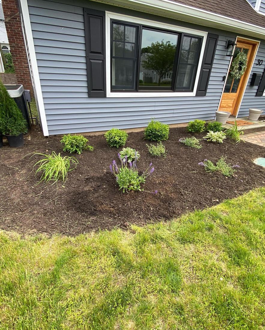 New foundation planting bed with fresh mulch along a home