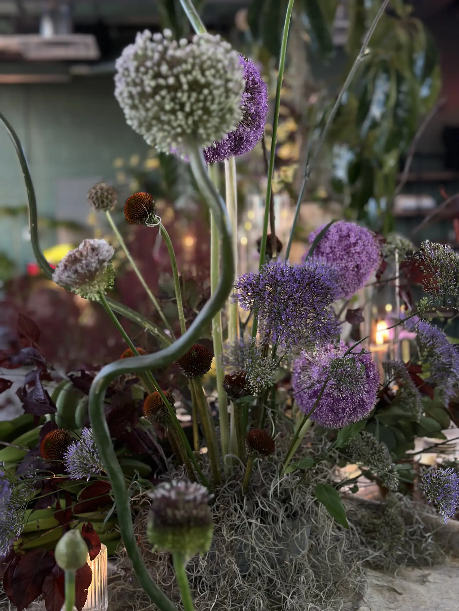 Arreglo floral con tallos altos de allium en tonos morado y blanco, acompañado de follaje oscuro y musgo decorativo.