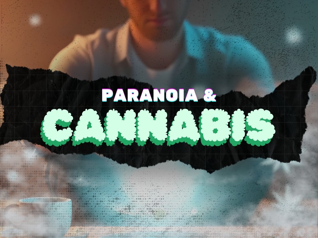 A man sitting on a couch pondering to himself surrounded by fog with title text reading "Paranoia and Cannabis"