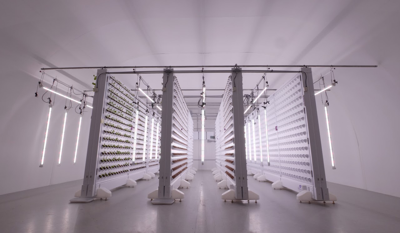 vancouver indoor farm, local sustainable produce