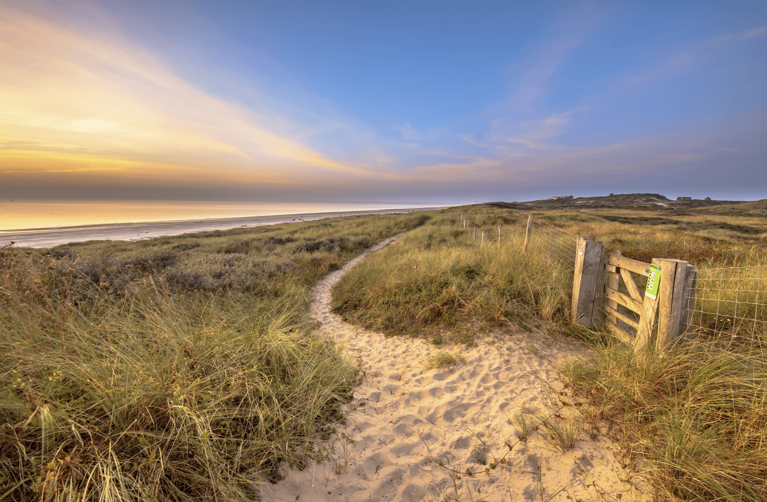 Hotel Blooming Beach