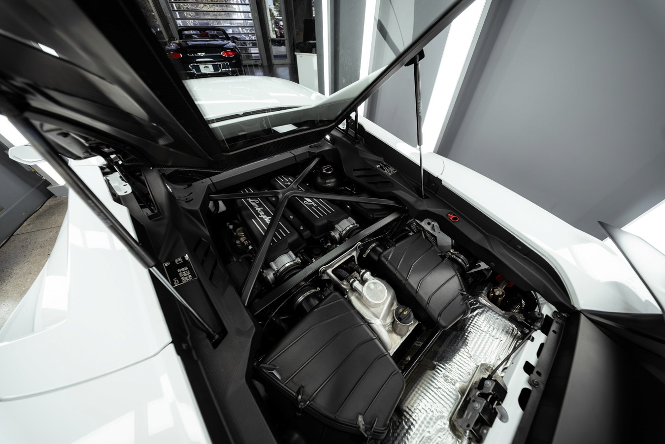 2023 Lamborghini Huracan Tecnica, photo 56