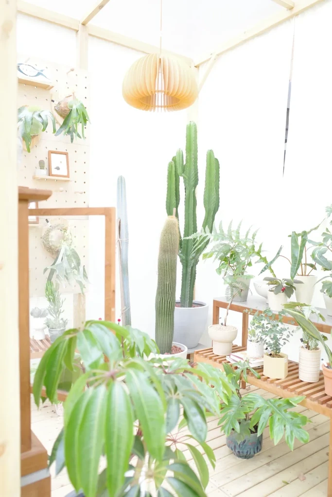 The image featured in the middle of the about us page