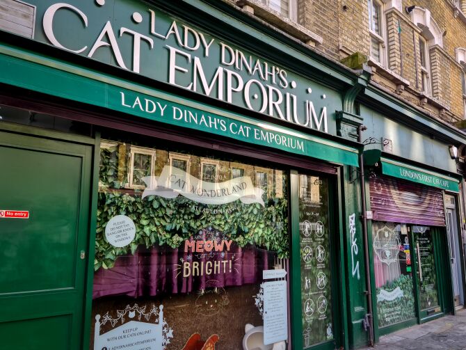 Lady Dinah’s Cat Emporium