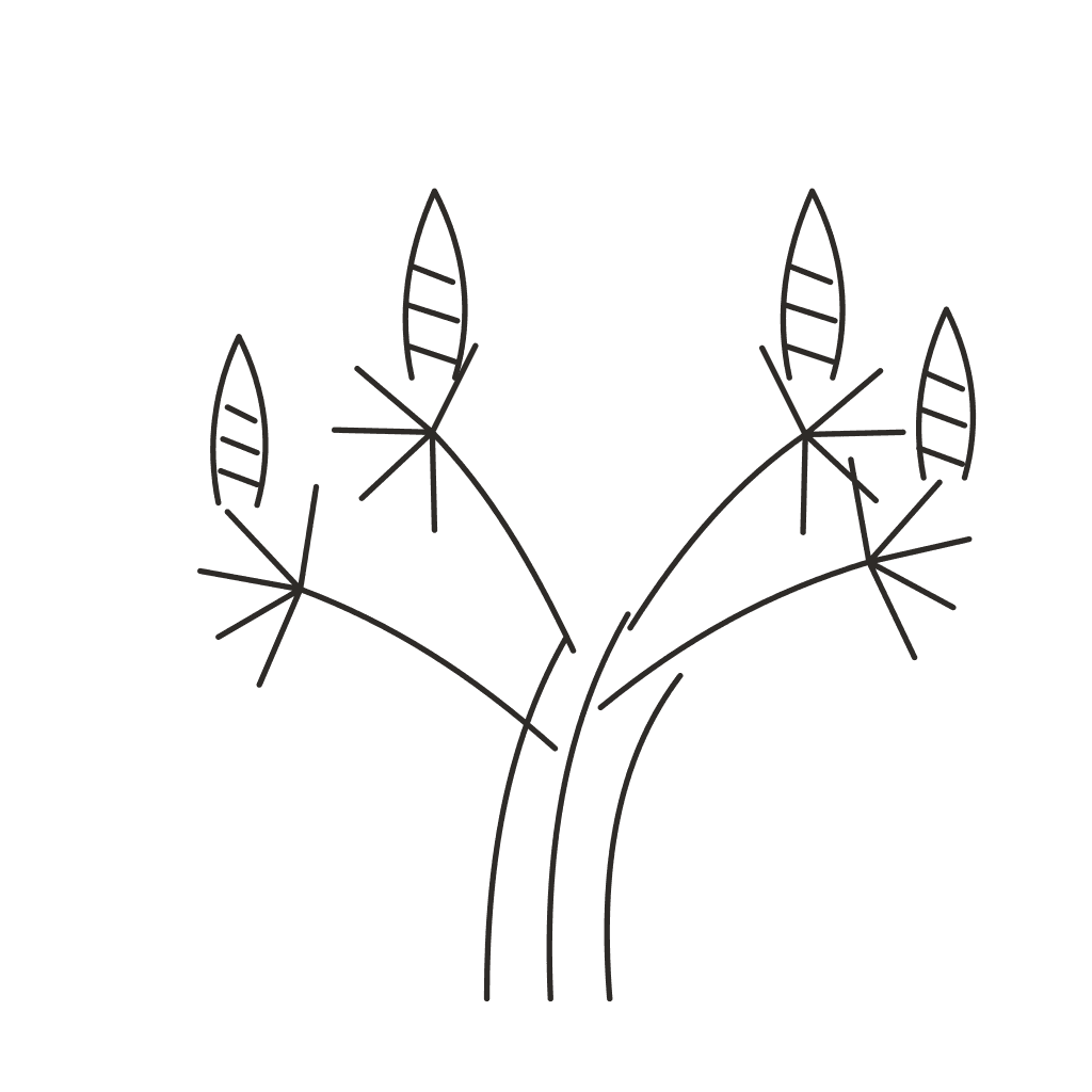 Line drawing of Chaste Tree