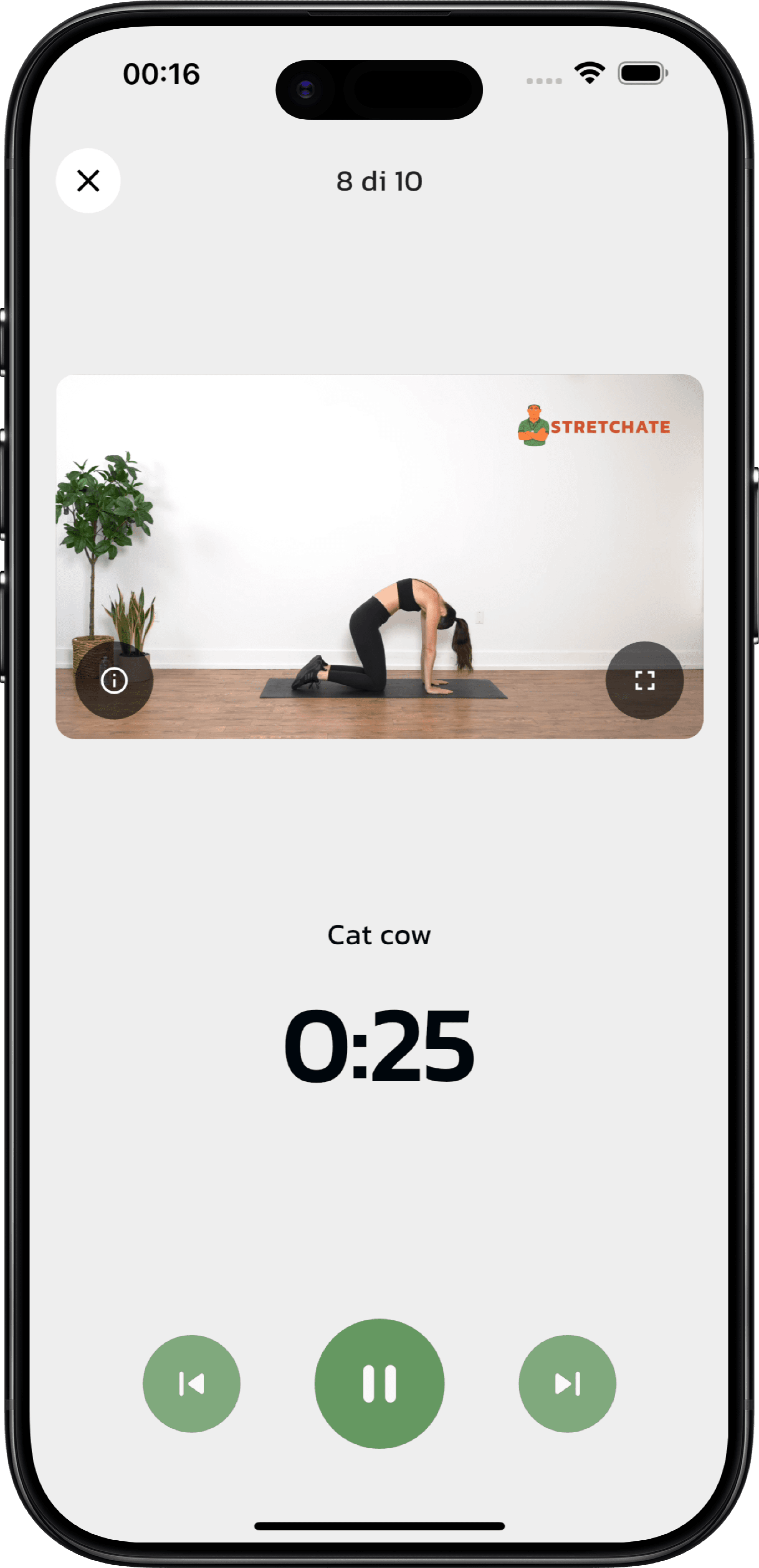 Screenshot of Notion template shopping list