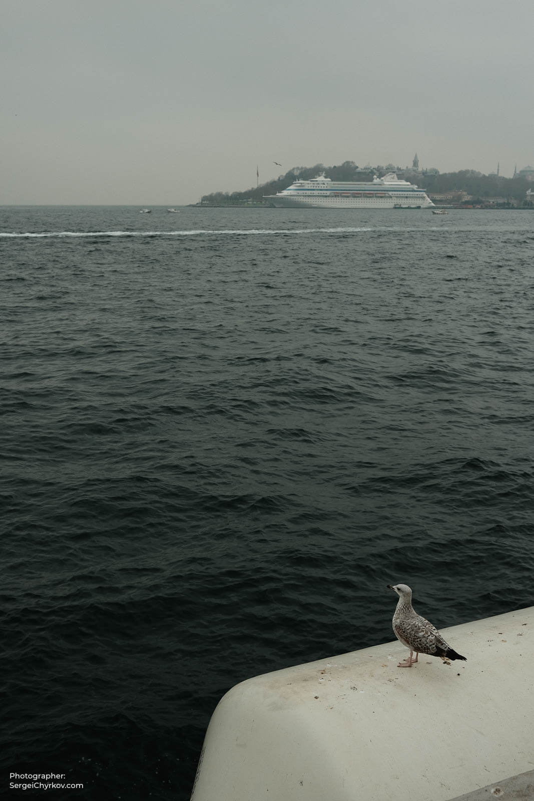 Istanbul, Turkey. January 2023. Photographer Sergei Chyrkov
