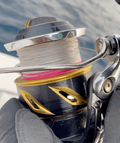 Oman, tun, yellowfin, popper, kastefiskeri, båd