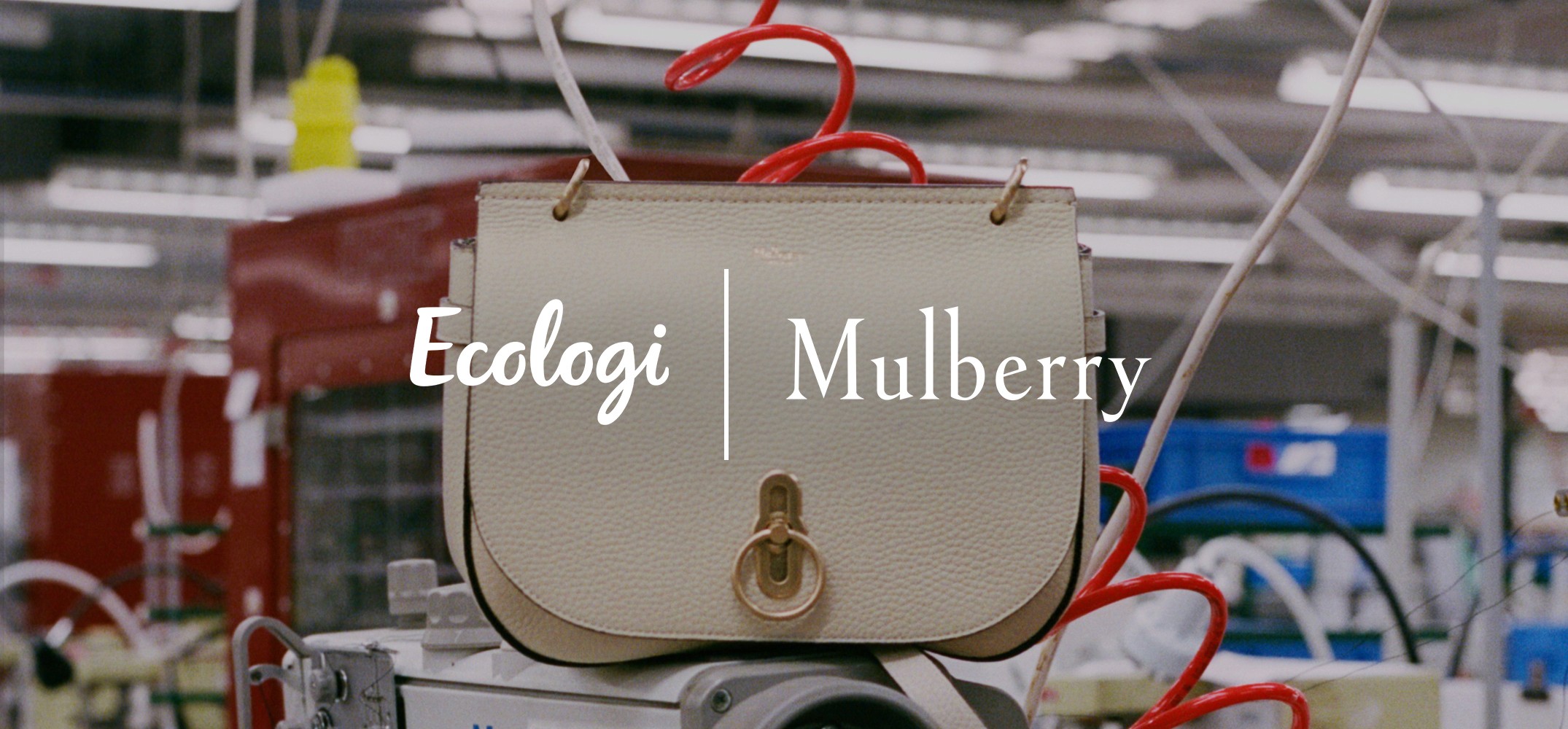 Mulberry