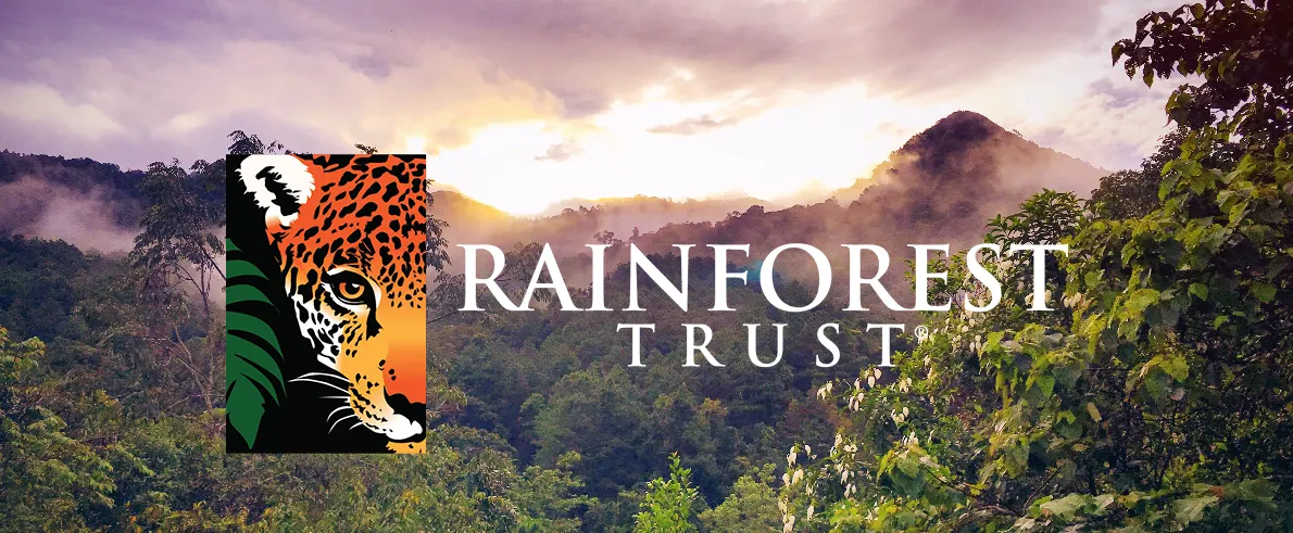 a sunset over a mountain behind a rainforest, with the Rainforest Trust logo overlayed