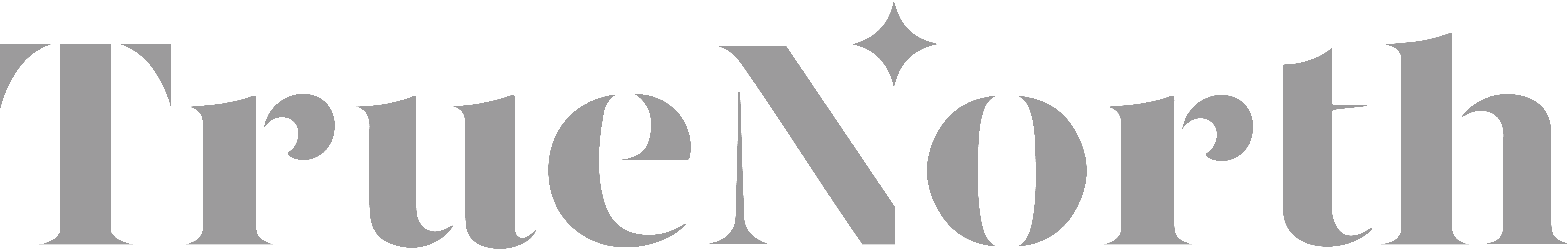 true north logo