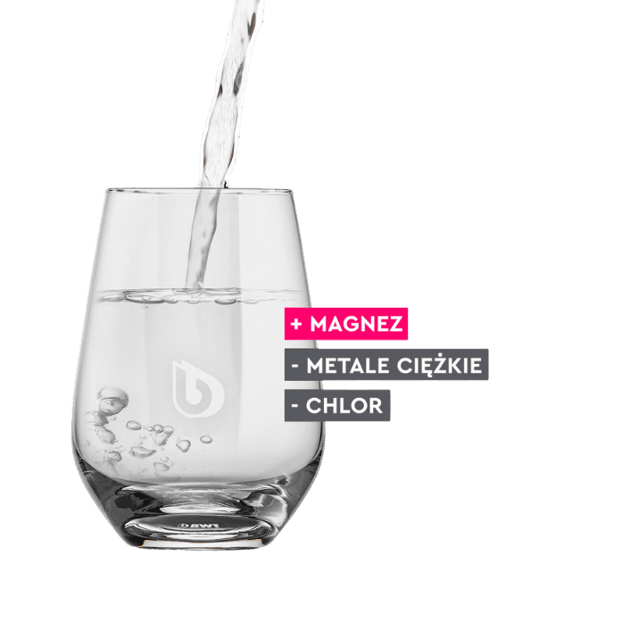 Filtr BWT Magnesium Mineralized Water