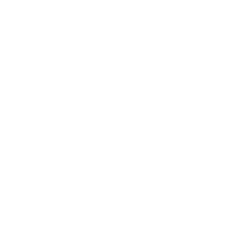 BMW Logo