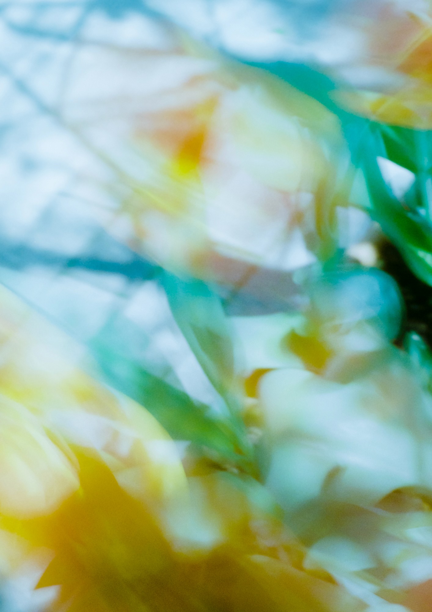 Taisei Matsumoto, 2023 exhibition work 007