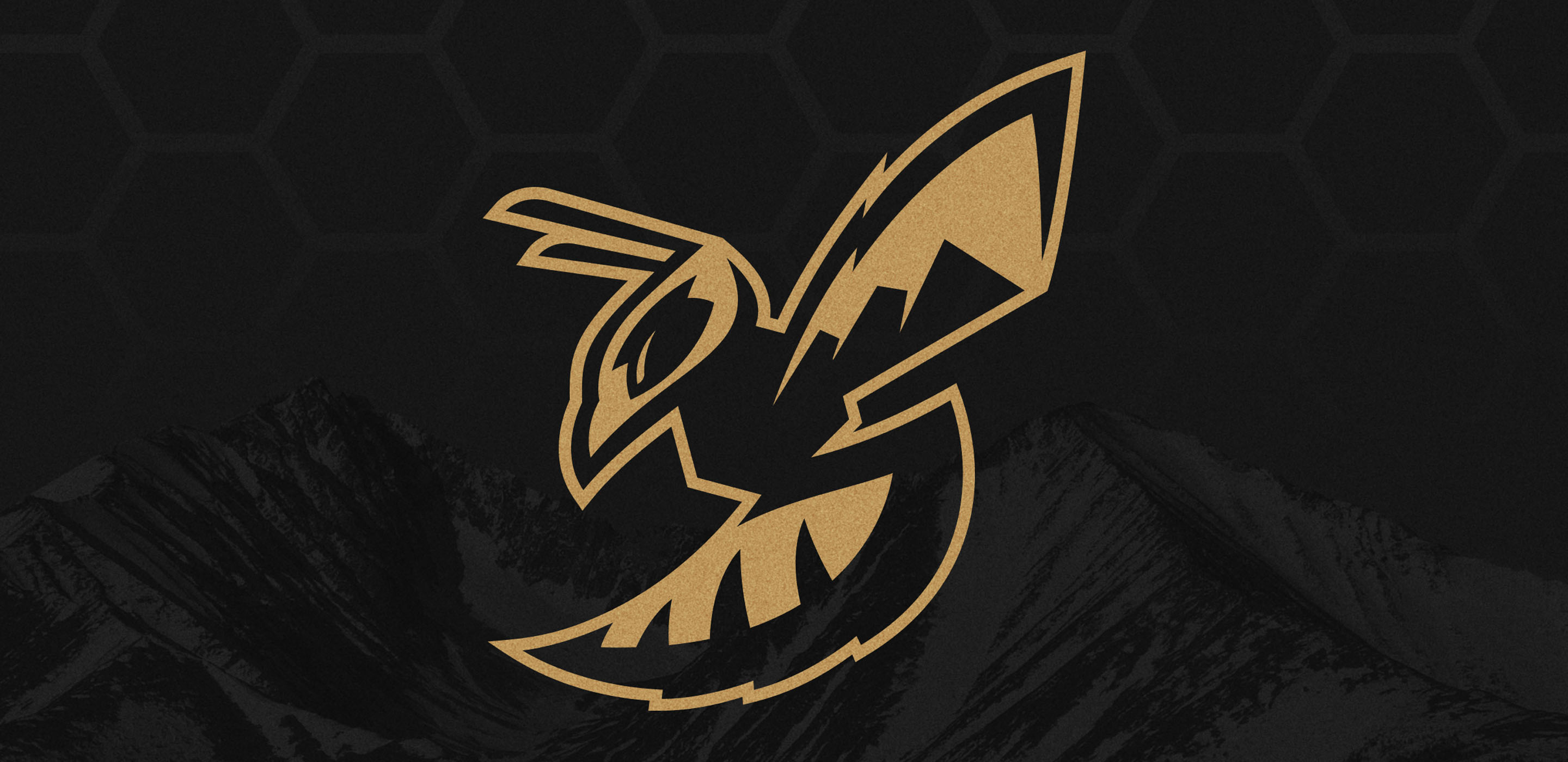 Stevensville Yellowjackets gold yellowjacket logo on black background banner image.