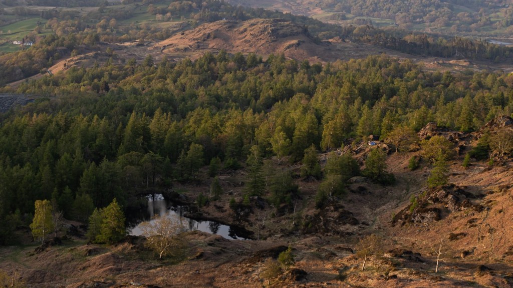 A zoomed in crop of the forest and reservoir at the bottom of Holme Fell. A blue tent can be seen near the water.