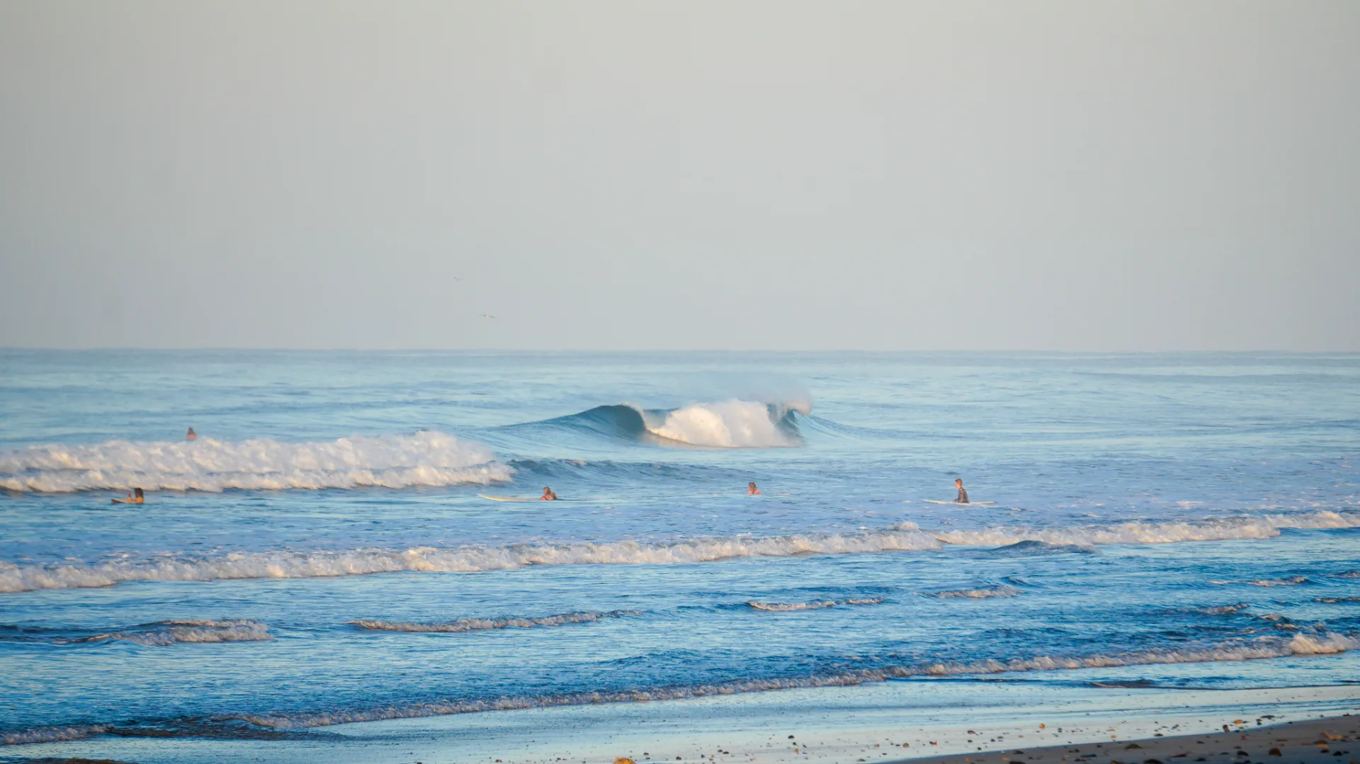 Surfers waiting in the lineup at first light on Playa Carmen, Santa Teresa