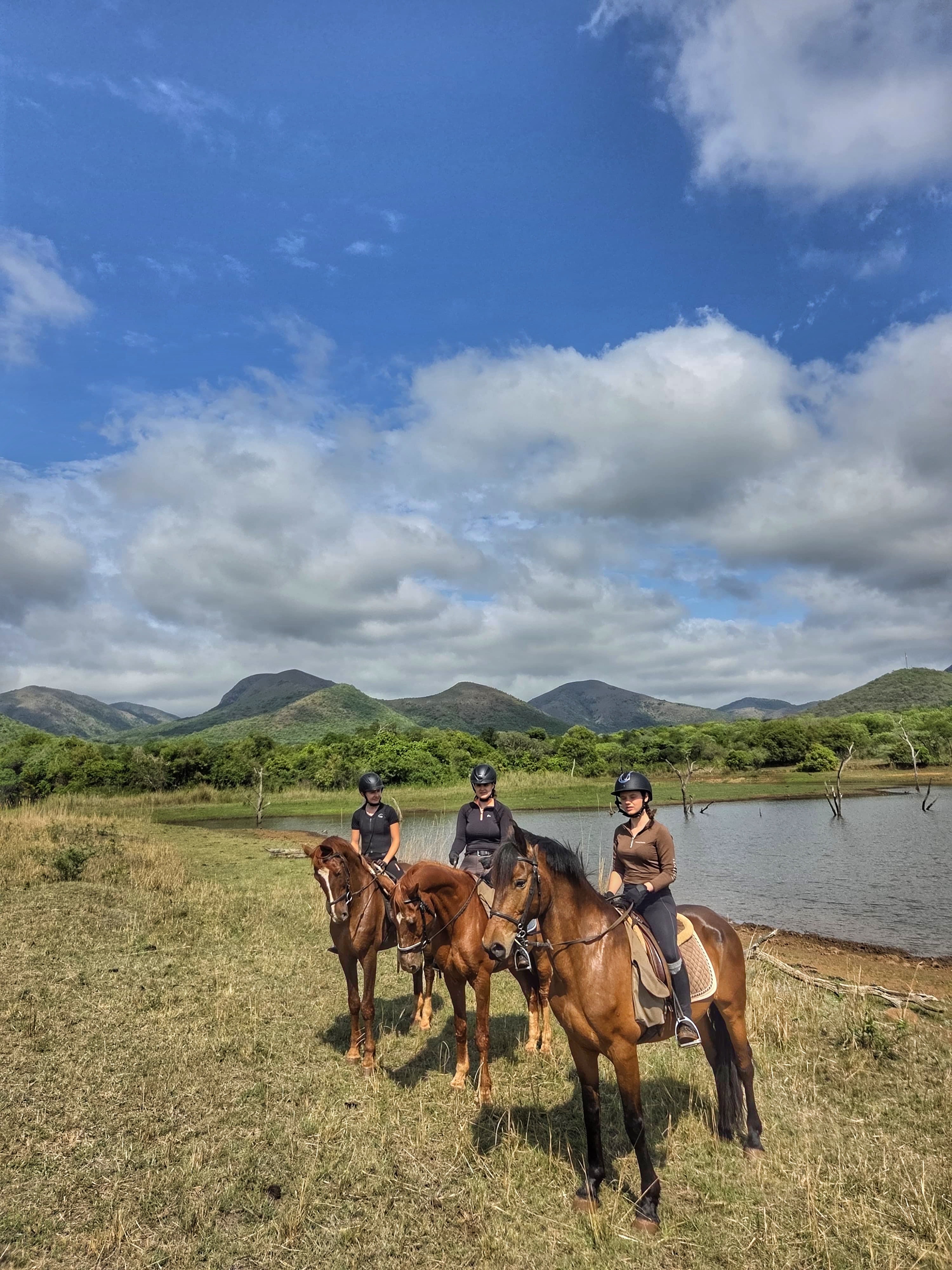 Kilimanjaro Elephant Ride, Arusha National Park, Tanzania – elefant i högt gräs tittar mot kameran, medan fem ryttare till häst på ridsafari i bakgrunden betraktar elefanten i ett grönt och frodigt landskap.