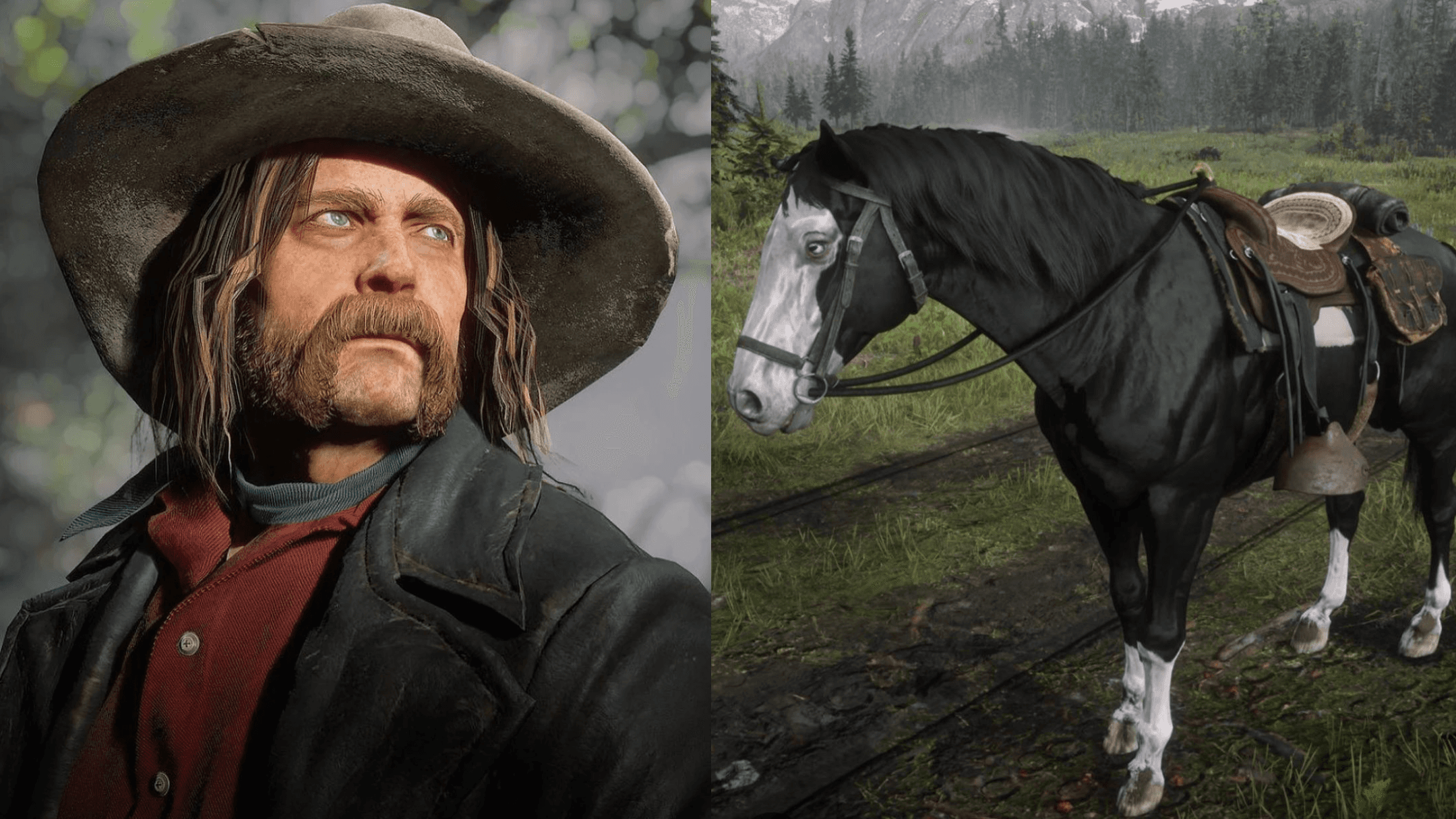 Van der Linde gang horses, best RDR2 horses, RDR2 horse guide, RDR2 gang horses, RDR2 Van der Linde horses, best horses in Red Dead Redemption 2, RDR2 best horse comparison, RDR2 Micah horse Baylock, RDR2 Dutch horse The Count, RDR2 Hosea horse Silver Dollar, RDR2 Bill horse Brown Jack, Missouri Fox Trotter RDR2, Arabian horse RDR2, Turkoman horse RDR2, Ardennes horse RDR2, strongest horses in RDR2, fastest horses in RDR2, RDR2 horse breeds explained, RDR2 horse stats, RDR2 best companion horses, RDR2 horse ranking, RDR2 best gang member horse, Red Dead Redemption 2 horse list, RDR2 story horses, RDR2 horse personalities, RDR2 rare horses, RDR2 horse analysis, RDR2 horse performance, RDR2 horse speed comparison, RDR2 war horses, RDR2 elite horses, RDR2 horse lovers guide, who has the best horse in RDR2, Van der Linde gang best horse, RDR2 cinematic horses, RDR2 lore horses, RDR2 horse fan guide, RDR2 top horses, RDR2 horse tier list, RDR2 iconic horses