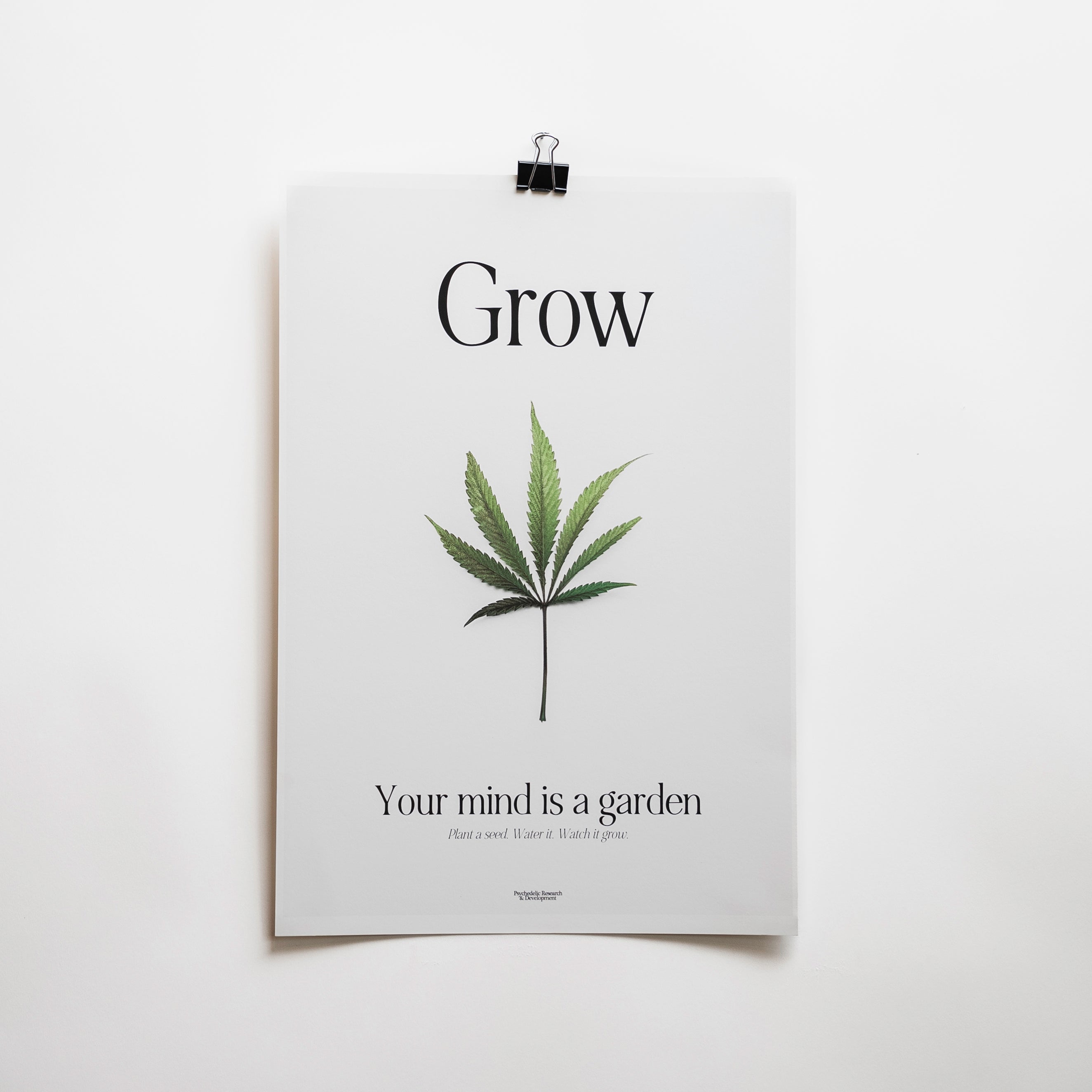 8" x 12" / No Frame / No Mat