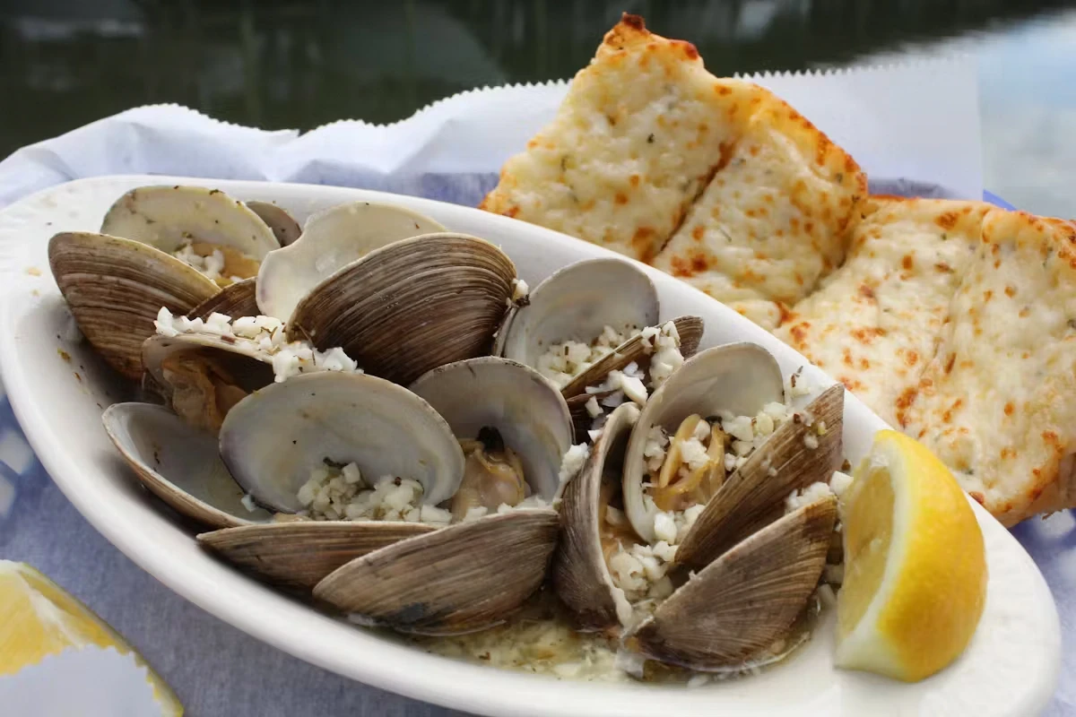 mussels and garlic bread