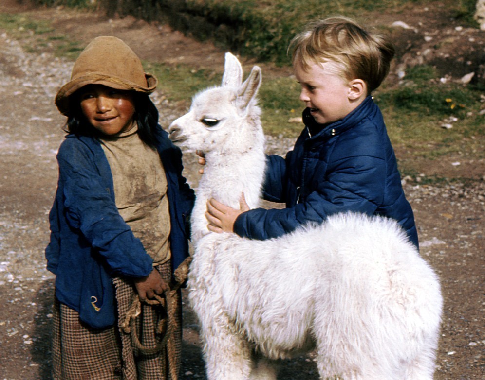 traveling with the family car