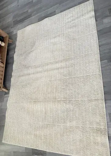 Tapis après nettoyage professionnel sans eau - Splashy Fuveau
