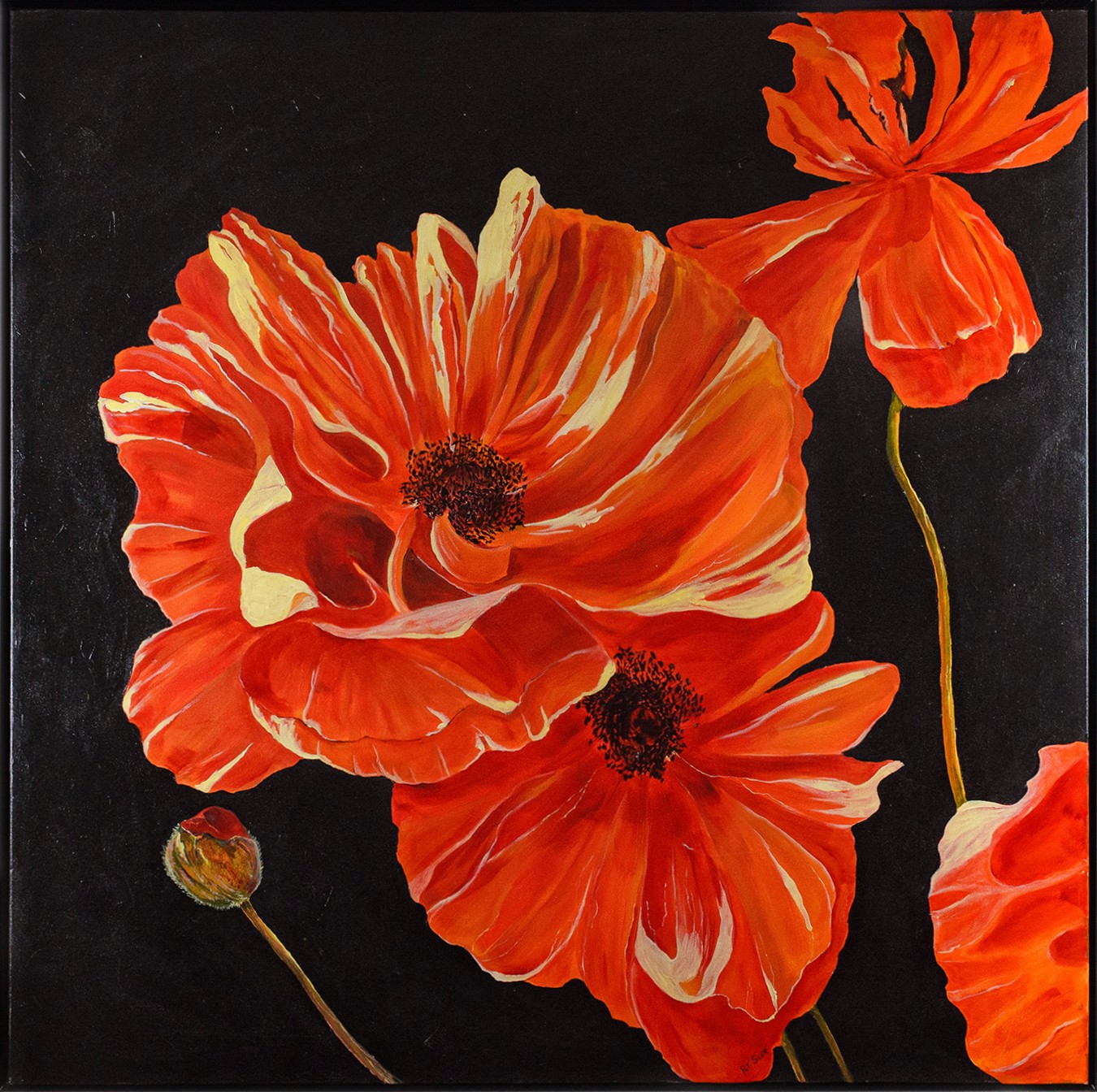 Red poppies with orange hues display their petals proudly at an awe-inspiring scale.